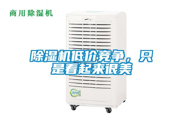 除濕機低價競爭，只是看起來很美