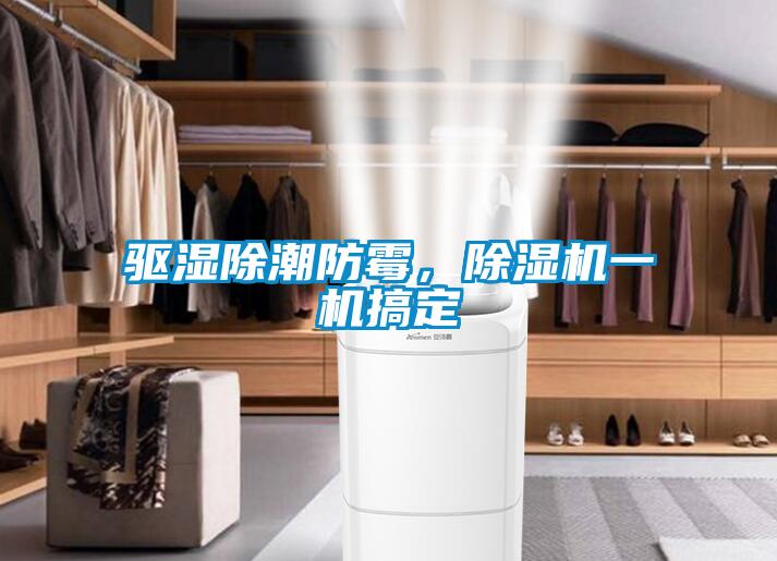 驅(qū)濕除潮防霉，除濕機(jī)一機(jī)搞定
