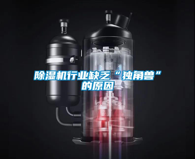 除濕機行業(yè)缺乏“獨角獸”的原因
