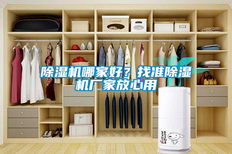 除濕機(jī)哪家好？找準(zhǔn)除濕機(jī)廠(chǎng)家放心用