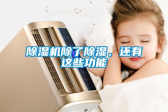 除濕機除了除濕，還有這些功能