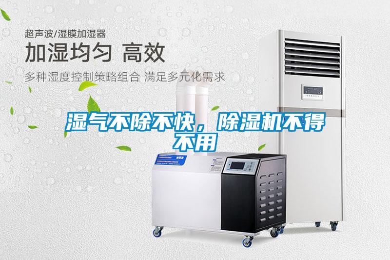 濕氣不除不快，除濕機(jī)不得不用