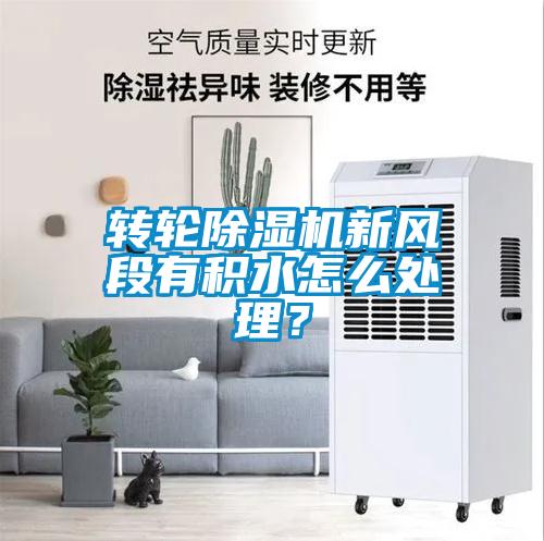 轉(zhuǎn)輪除濕機(jī)新風(fēng)段有積水怎么處理？