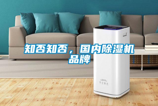 知否知否，國(guó)內(nèi)除濕機(jī)品牌
