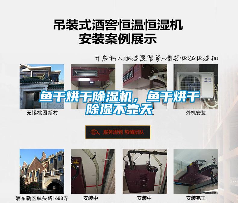魚干烘干除濕機，魚干烘干除濕不靠天