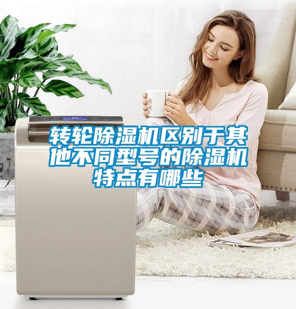 轉輪除濕機區(qū)別于其他不同型號的除濕機特點有哪些