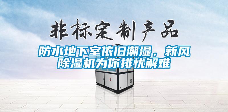防水地下室依舊潮濕，新風(fēng)除濕機(jī)為你排憂解難