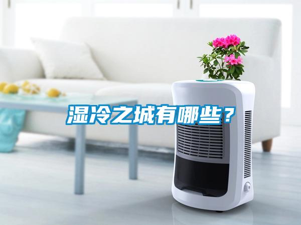 濕冷之城有哪些？