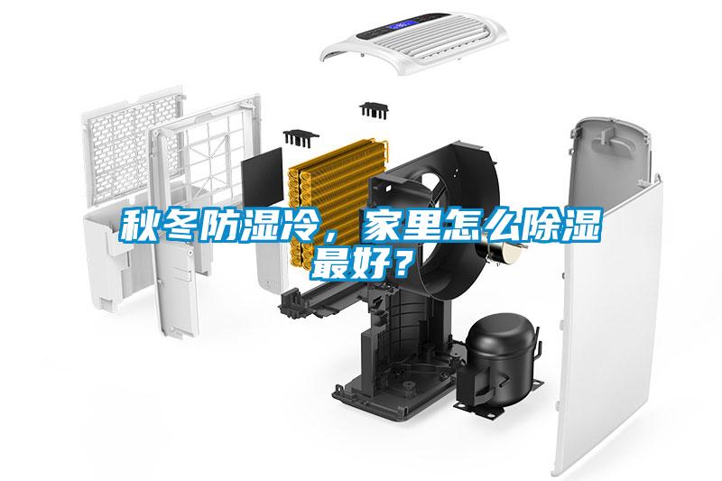秋冬防濕冷，家里怎么除濕最好？