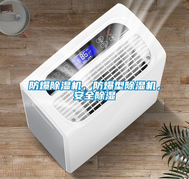 防爆除濕機，防爆型除濕機，安全除濕