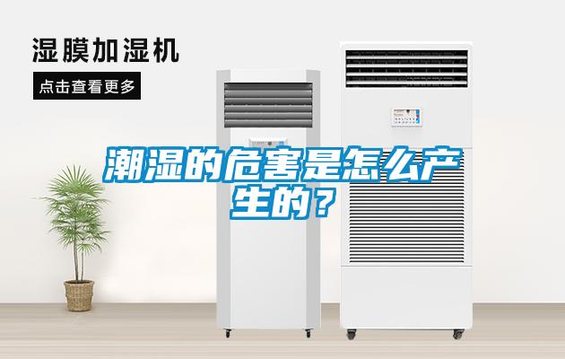 潮濕的危害是怎么產(chǎn)生的？