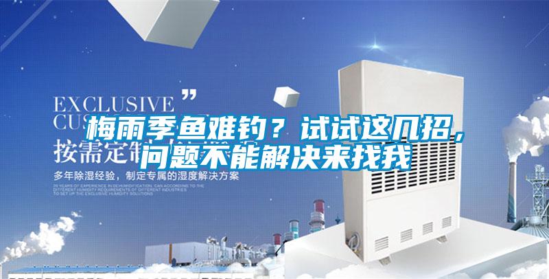 梅雨季魚難釣？試試這幾招，問題不能解決來找我