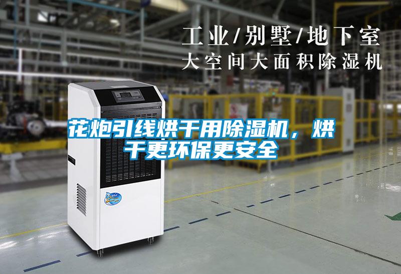 花炮引線烘干用除濕機，烘干更環(huán)保更安全