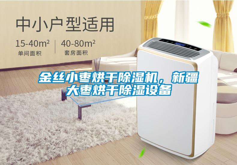 金絲小棗烘干除濕機，新疆大棗烘干除濕設備