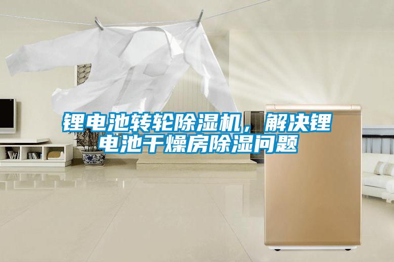 鋰電池轉(zhuǎn)輪除濕機(jī)，解決鋰電池干燥房除濕問題