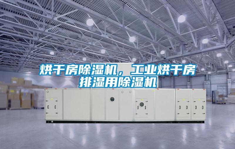 烘干房除濕機，工業(yè)烘干房排濕用除濕機