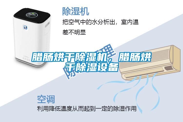 臘腸烘干除濕機(jī)，臘腸烘干除濕設(shè)備