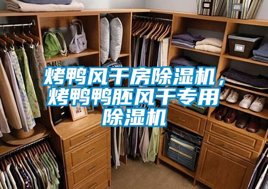 烤鴨風(fēng)干房除濕機(jī)，烤鴨鴨胚風(fēng)干專用除濕機(jī)