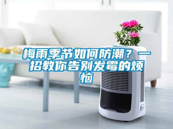 梅雨季節(jié)如何防潮？一招教你告別發(fā)霉的煩惱