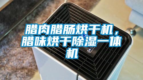 臘肉臘腸烘干機(jī)，臘味烘干除濕一體機(jī)