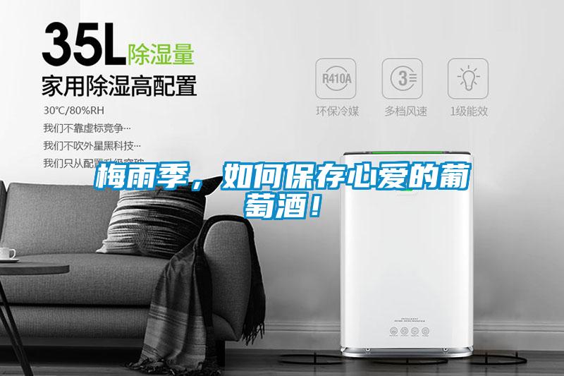 梅雨季，如何保存心愛的葡萄酒！