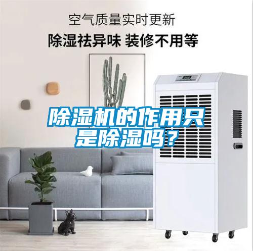 除濕機(jī)的作用只是除濕嗎？