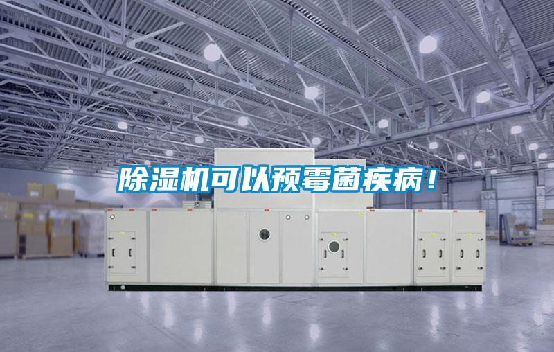 除濕機可以預(yù)霉菌疾?。?/></p>
						    <p style=