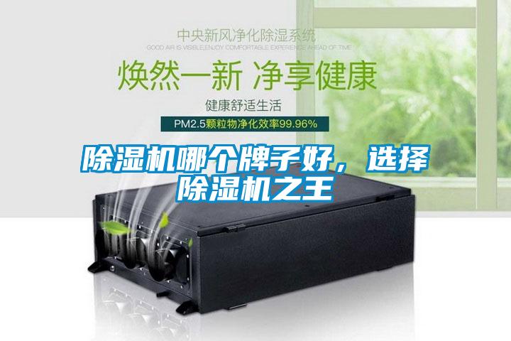 除濕機(jī)哪個(gè)牌子好，選擇除濕機(jī)之王