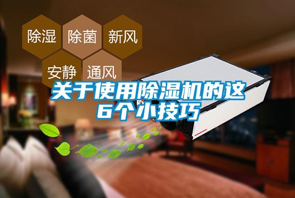 關(guān)于使用除濕機的這6個小技巧