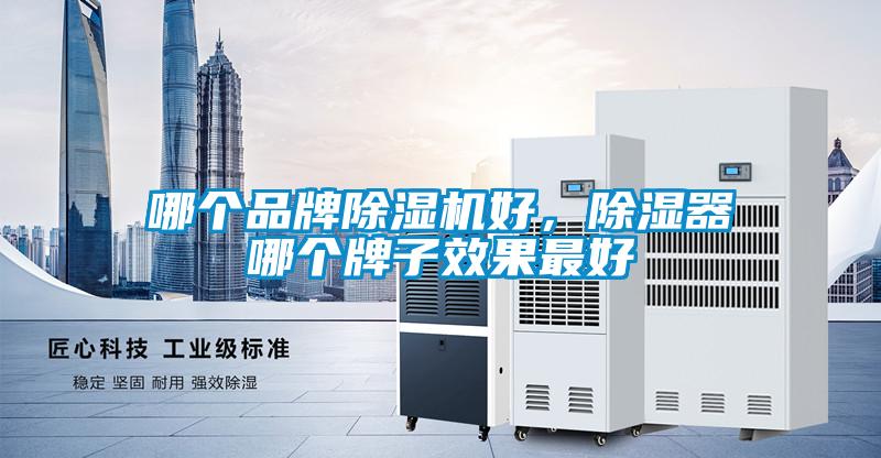哪個品牌除濕機好，除濕器哪個牌子效果最好
