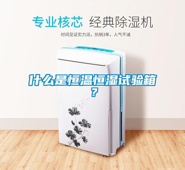 什么是恒溫恒濕試驗(yàn)箱？