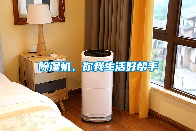 除濕機，你我生活好幫手