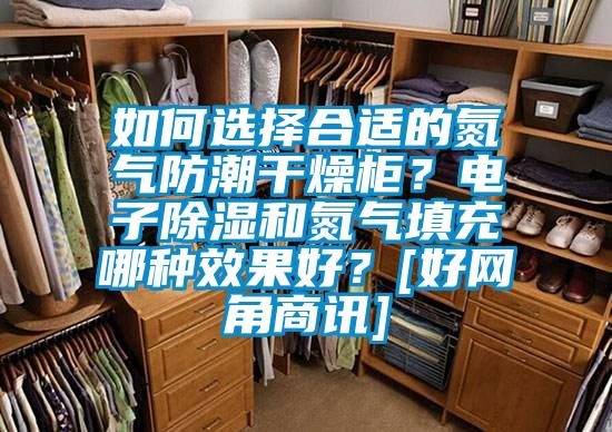 如何選擇合適的氮?dú)夥莱备稍锕?？電子除濕和氮?dú)馓畛淠姆N效果好？[好網(wǎng)角商訊]