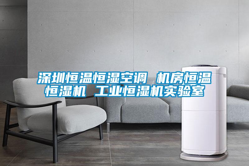 深圳恒溫恒濕空調(diào) 機(jī)房恒溫恒濕機(jī) 工業(yè)恒濕機(jī)實驗室