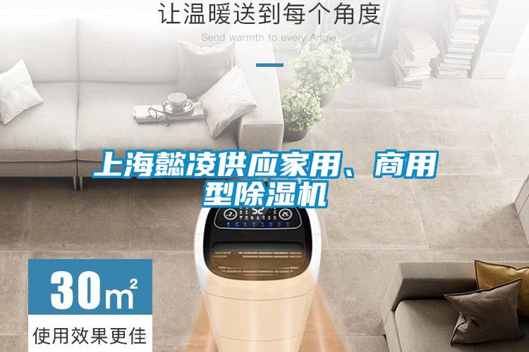 上海懿凌供應(yīng)家用、商用型除濕機