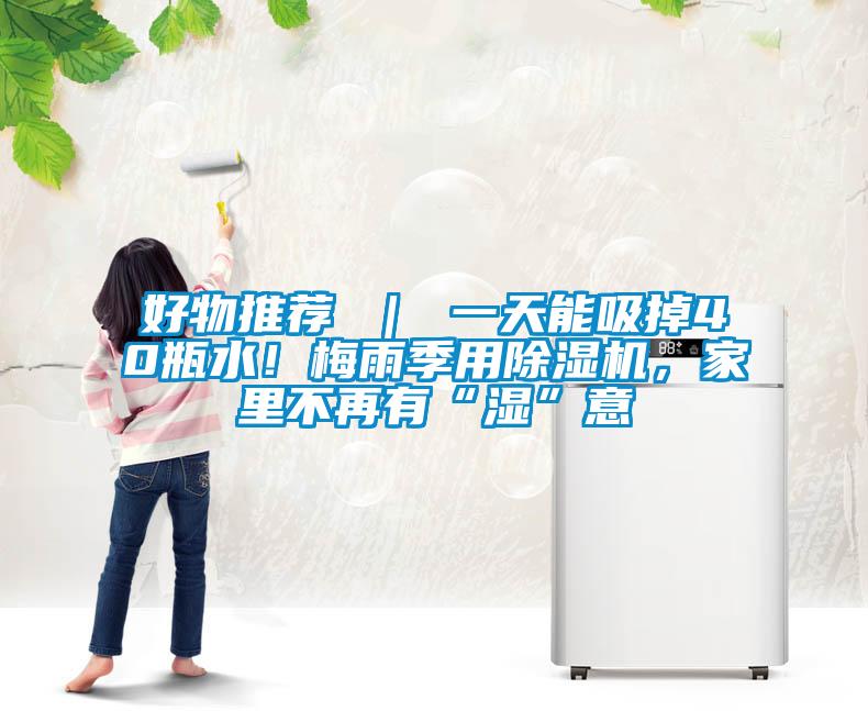 好物推薦 ｜ 一天能吸掉40瓶水！梅雨季用除濕機(jī)，家里不再有“濕”意