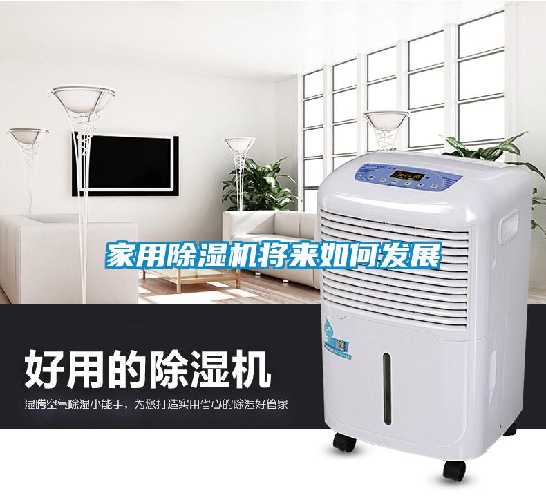 家用除濕機(jī)將來(lái)如何發(fā)展