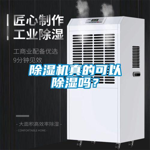 除濕機(jī)真的可以除濕嗎？