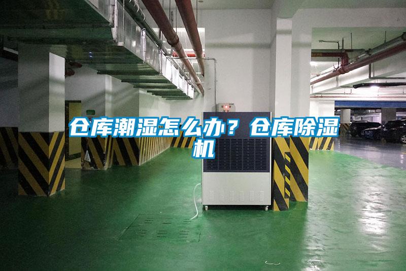 倉庫潮濕怎么辦？倉庫除濕機(jī)