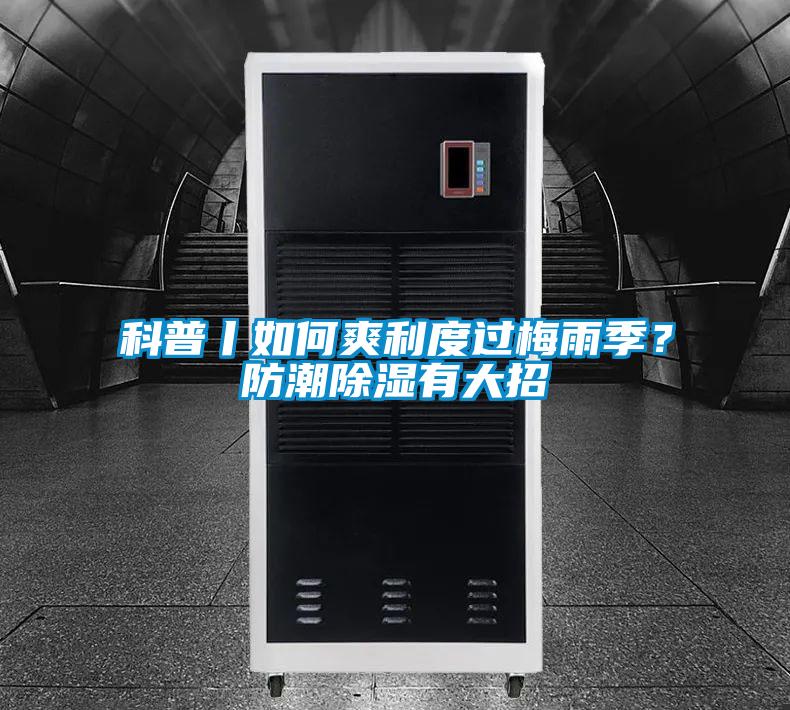 科普丨如何爽利度過梅雨季？防潮除濕有大招