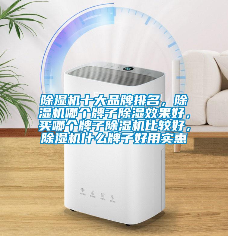 除濕機(jī)十大品牌排名，除濕機(jī)哪個(gè)牌子除濕效果好，買(mǎi)哪個(gè)牌子除濕機(jī)比較好，除濕機(jī)什么牌子好用實(shí)惠