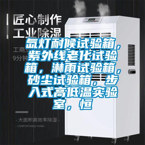 氙燈耐候試驗箱，紫外線老化試驗箱，淋雨試驗箱，砂塵試驗箱，步入式高低溫實驗室，恒