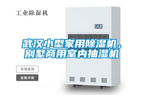 武漢小型家用除濕機(jī)，別墅商用室內(nèi)抽濕機(jī)