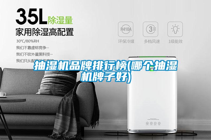 抽濕機(jī)品牌排行榜(哪個(gè)抽濕機(jī)牌子好)