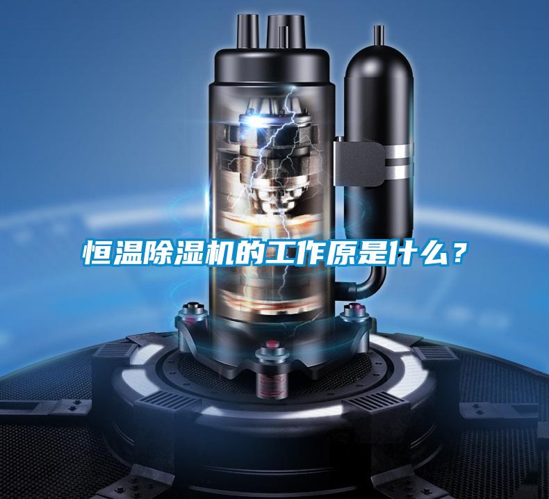 恒溫除濕機(jī)的工作原是什么？