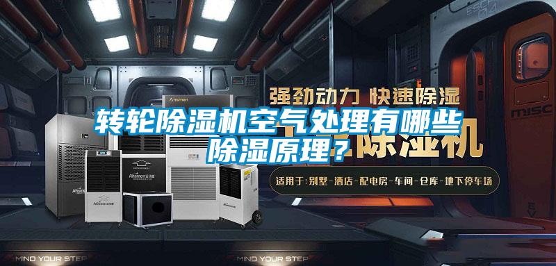 轉(zhuǎn)輪除濕機空氣處理有哪些除濕原理？