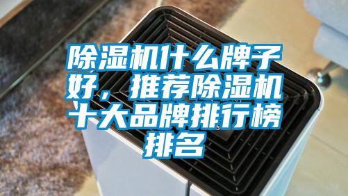 除濕機什么牌子好，推薦除濕機十大品牌排行榜排名