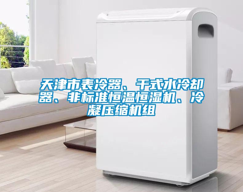 天津市表冷器、干式水冷卻器、非標(biāo)準(zhǔn)恒溫恒濕機(jī)、冷凝壓縮機(jī)組