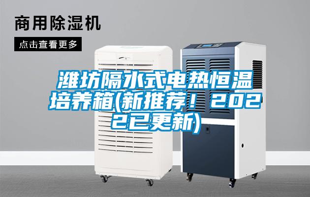 濰坊隔水式電熱恒溫培養(yǎng)箱(新推薦！2022已更新)