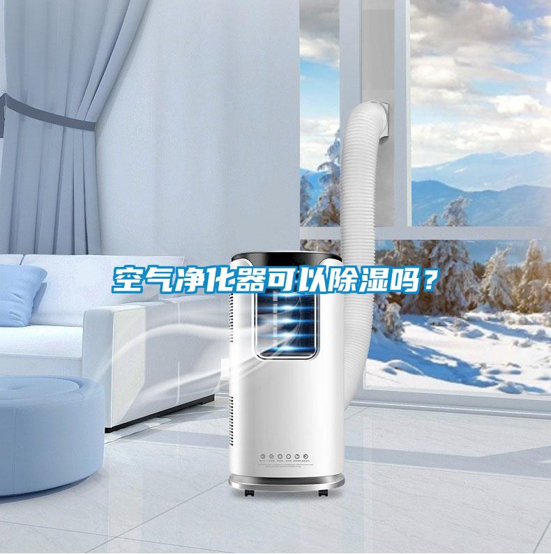 空氣凈化器可以除濕嗎？